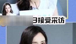 娱乐圈最新的吃瓜网站,揭秘明星背后的惊人真相！