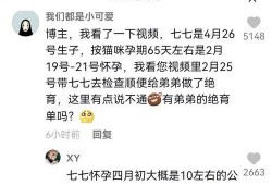 抖音吃瓜娱乐博主,带你领略网络红人的魅力与争议