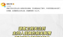娱乐吃瓜项目,吃瓜群众带你领略幕后风云